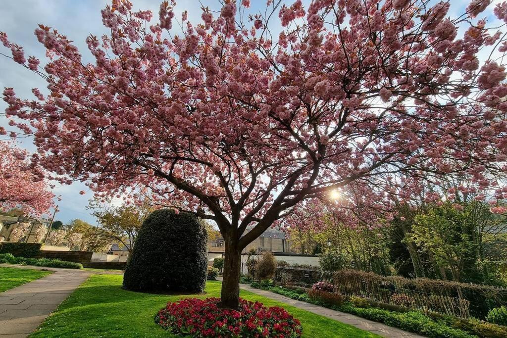 Crystal Cottage - 5 Min Walk From Holmfirth Town Centre מראה חיצוני תמונה
